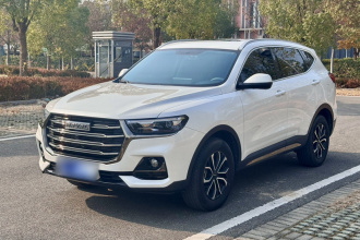 哈弗H6 2021款 国潮版 1.5T 自动都市版