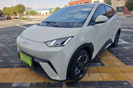 比亚迪 海鸥 2025款 305km 自由版