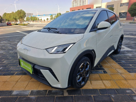 比亚迪 海鸥 2025款 305km 自由版