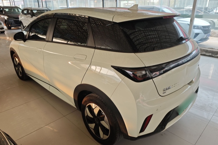 比亚迪 海豚 2025款 420km 自由版车身外观4