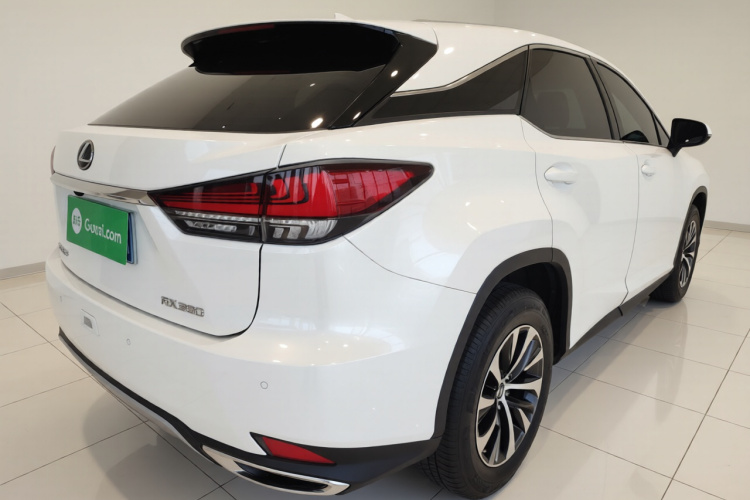 雷克萨斯RX 2020款 改款 300 两驱精英版车身外观7