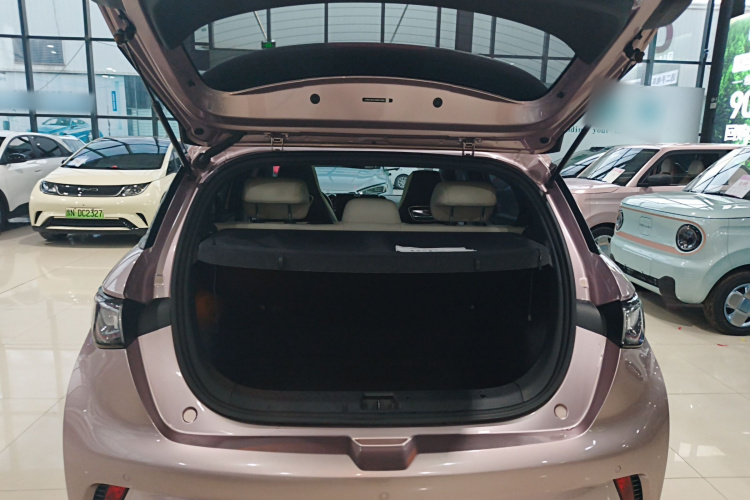 比亚迪 海豚 2021款 405km 时尚版机舱底盘23