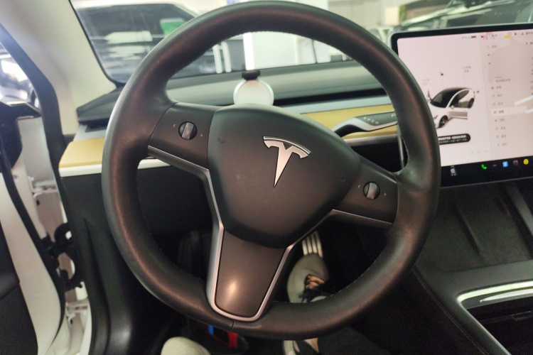 特斯拉 Model 3 2021款 Performance高性能全轮驱动版局部细节13