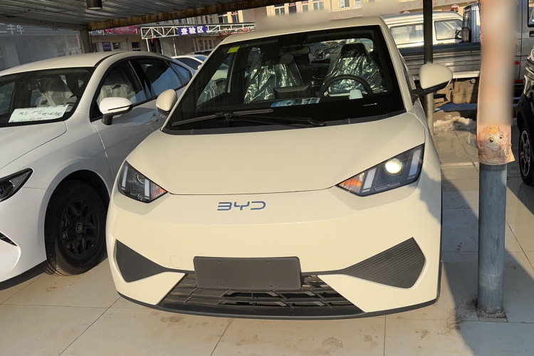 比亚迪 海鸥 2025款 智驾版 305km 活力版车身外观6001