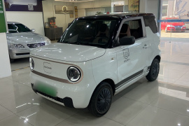 吉利银河 2023款 熊猫mini 200km 耐力熊