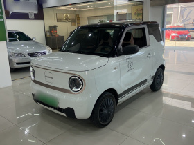吉利银河 2023款 熊猫mini 200km 耐力熊