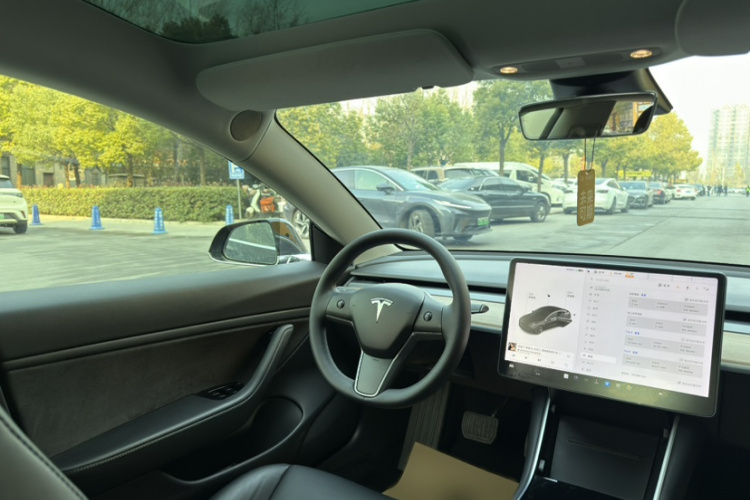 特斯拉 Model 3(进口) 2019款 长续航后驱版中控内饰7002