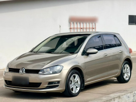 大众 高尔夫 2016款 230TSI 自动舒适型