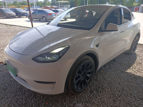 特斯拉 Model Y 2021款 长续航全轮驱动版