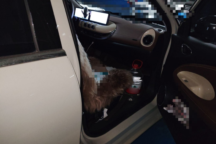 五菱汽车 五菱缤果 2023款 410km 灵犀尊享款局部细节9005