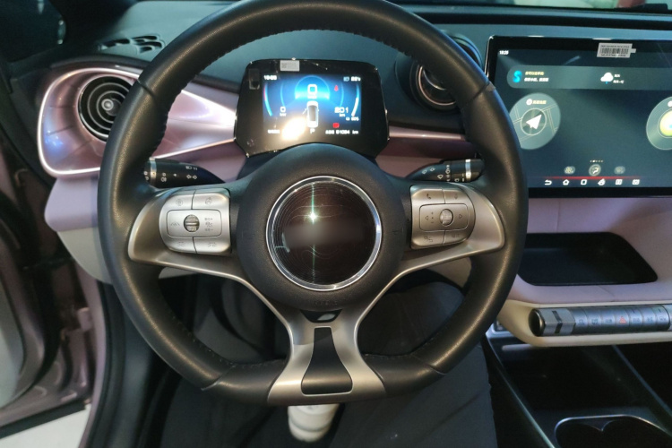 比亚迪 海豚 2021款 401km 骑士版局部细节13