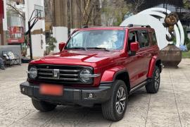 坦克300 2021款 城市版 2.0T 很有型