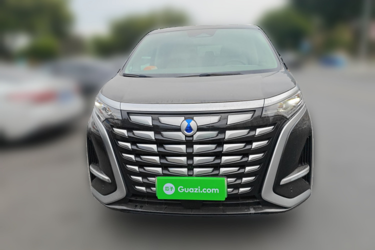 腾势D9 2022款 DM-i 1040 尊贵型车身外观6001