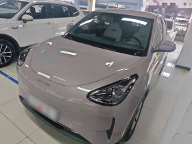 吉利银河 星愿 2025款 310km 青春版