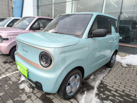 吉利银河 2024款 熊猫mini 200km 耐力熊