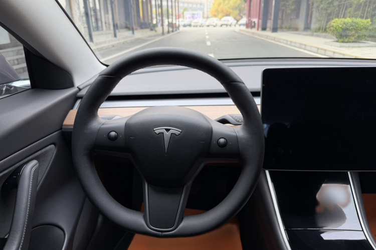 特斯拉 Model 3(进口) 2019款 长续航后驱版局部细节13