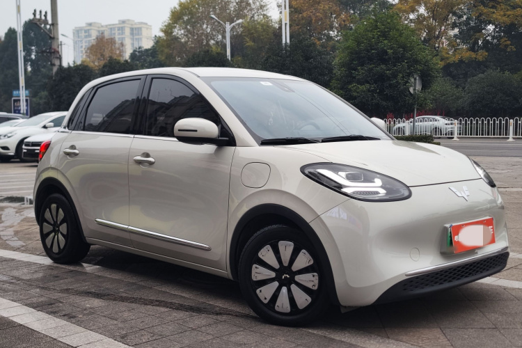 五菱汽车 五菱缤果 2023款 333km 悦享+款车身外观6003