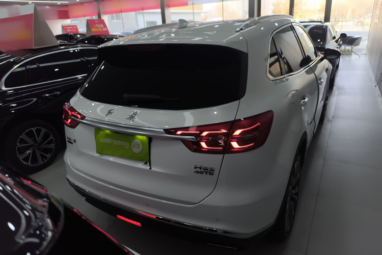 红旗HS5 2019款 2.0T 智联旗享四驱版车身外观6004