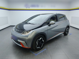 比亚迪 海豚 2021款 405km 时尚版