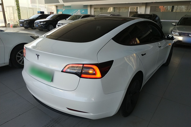 特斯拉 Model 3(进口) 2019款 标准续航后驱升级版(60度)车身外观6005