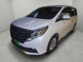 广汽传祺 传祺M8 2020款 390T 尊享版