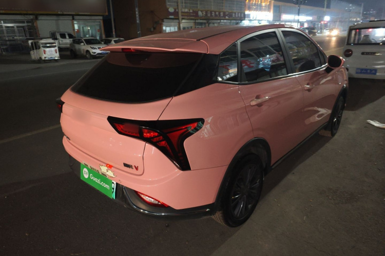 哪吒汽车 哪吒V 2022款 潮 400 Lite 粉色定制款车身外观7