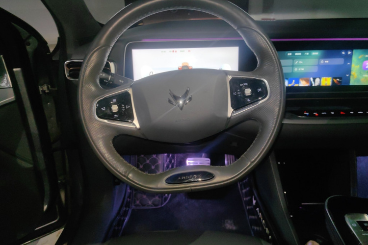 ARCFOX极狐 极狐 阿尔法S(ARCFOX αS) 2021款 708S+ 160kW局部细节13