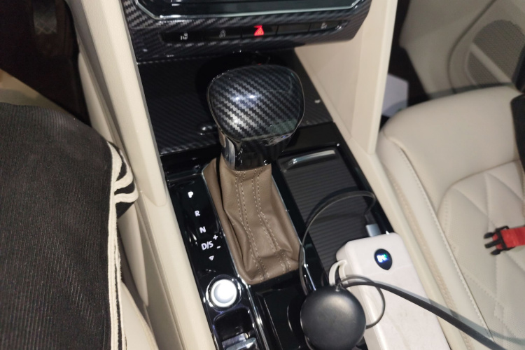 大众 威然 2020款 380TSI 尊贵版局部细节18