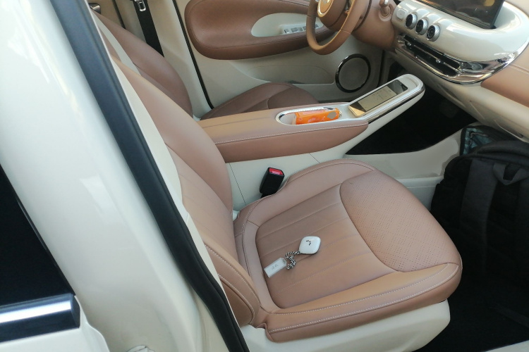 五菱汽车 五菱缤果 2025款 333km 灵犀尊享款局部细节41