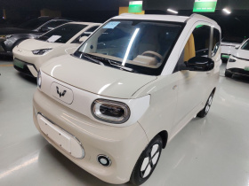 五菱汽车 宏光MINIEV 2024款 第三代 215km 进阶版