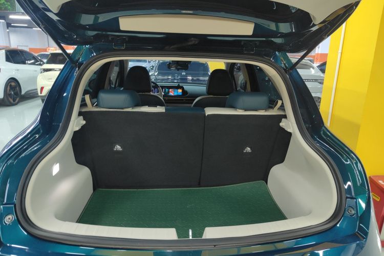 欧拉好猫 2023款 401km标准续航 豪华型 磷酸铁锂局部细节23