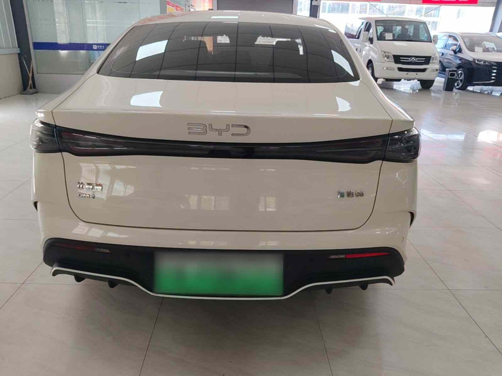 比亚迪 海豹06新能源 2024款 DM-i 120KM旗舰型(4)