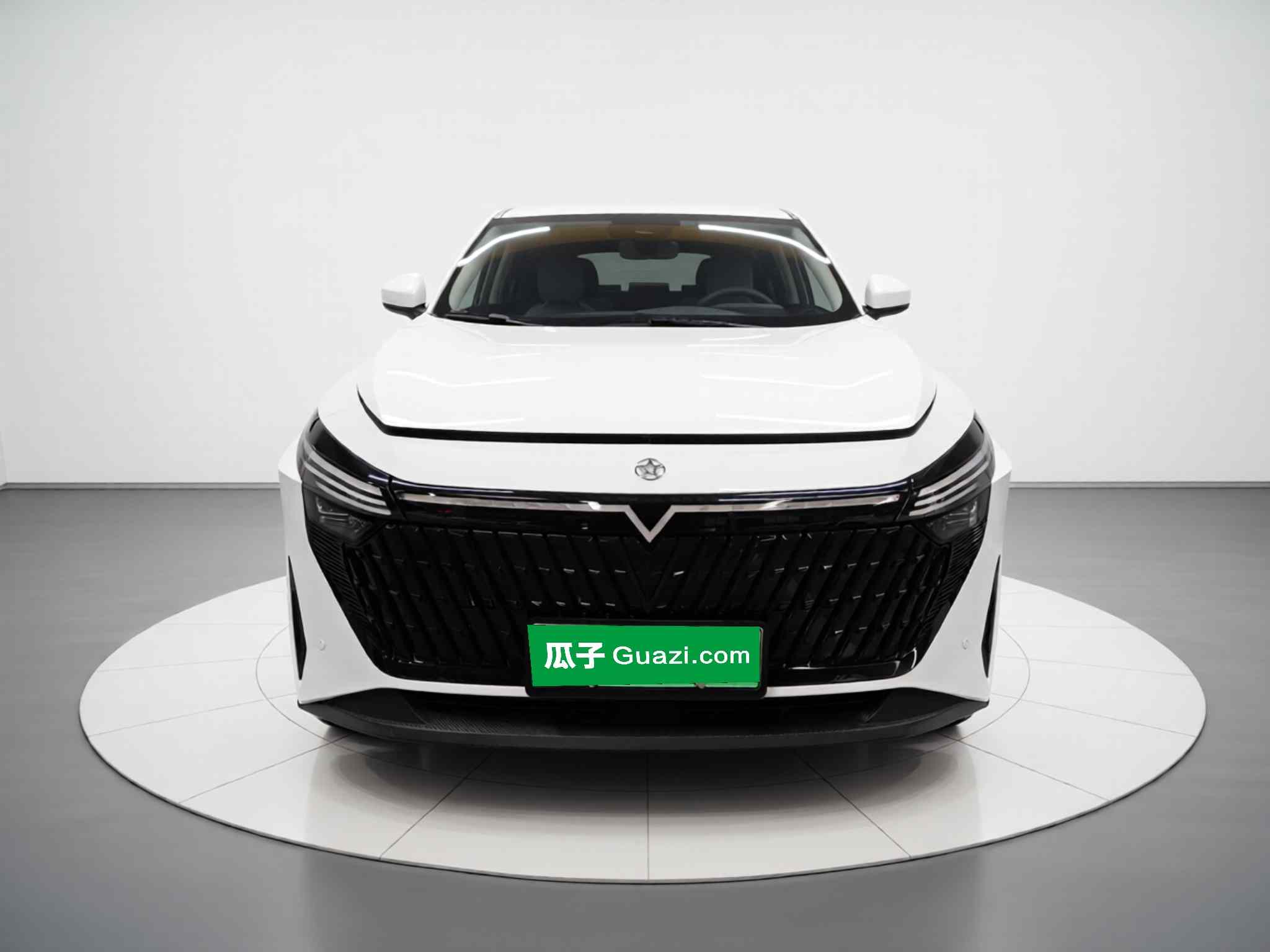 启辰大V DD-i 2023款 60km iC版(1)