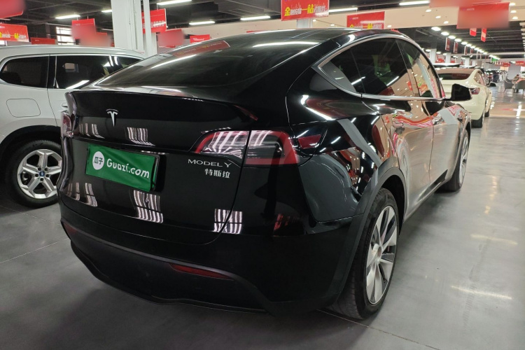 特斯拉 Model Y 2021款 标准续航后驱版车身外观6005