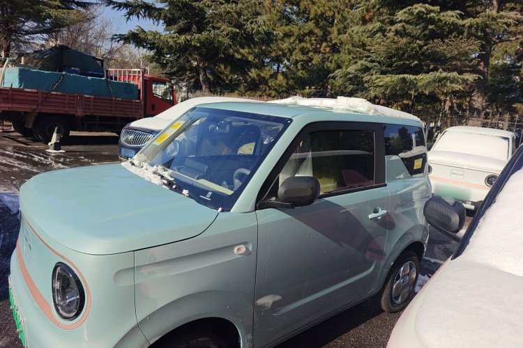 吉利银河 2024款 熊猫mini 200km 耐力熊车身外观4