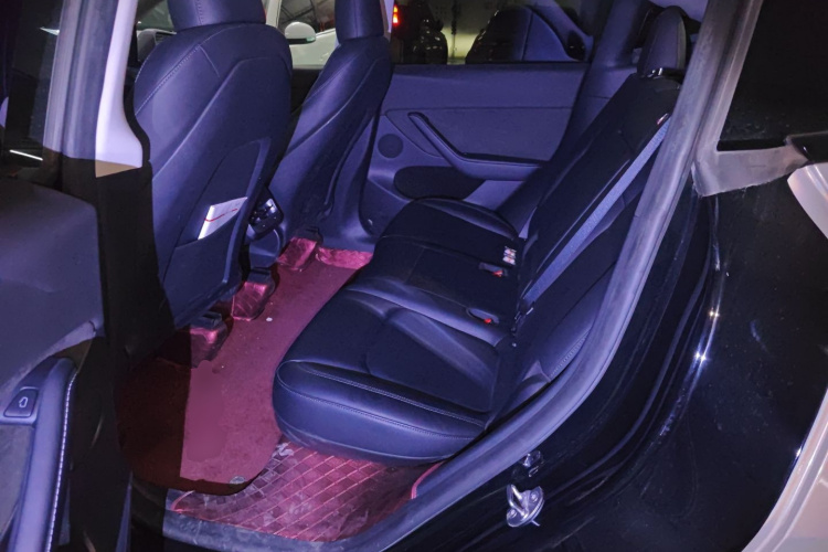 特斯拉 Model Y 2022款 Performance高性能全轮驱动版中控内饰21