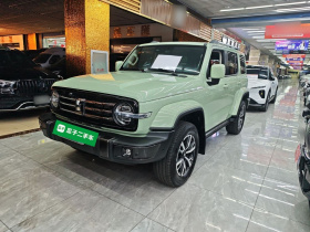 坦克300 2021款 城市版 2.0T 很有型