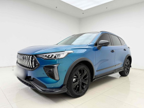 哈弗赤兔 2021款 激擎版 1.5T 铂金兔