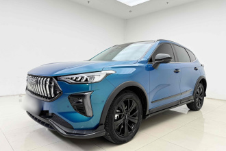 哈弗赤兔 2021款 激擎版 1.5T 铂金兔