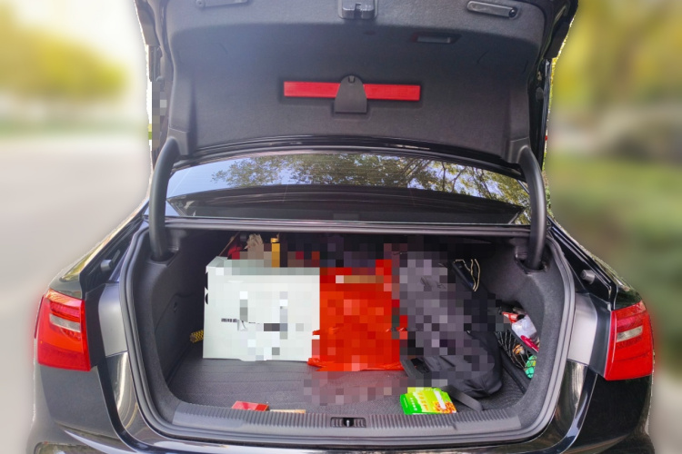 奥迪A6L 2014款 30 FSI 技术型局部细节23