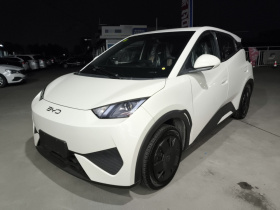 比亚迪 海鸥 2025款 智驾版 305km 活力版