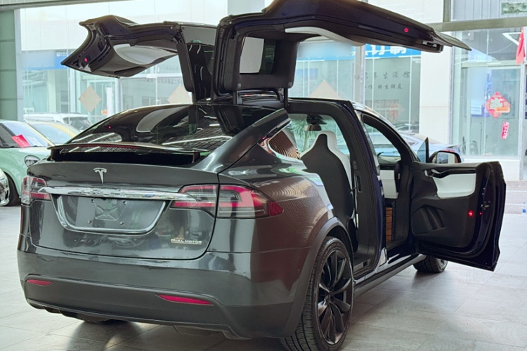 特斯拉 Model X 2019款 Performance 高性能版车身外观6004