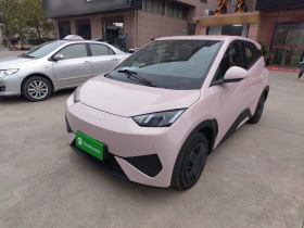 比亚迪 海鸥 2025款 305km 活力版