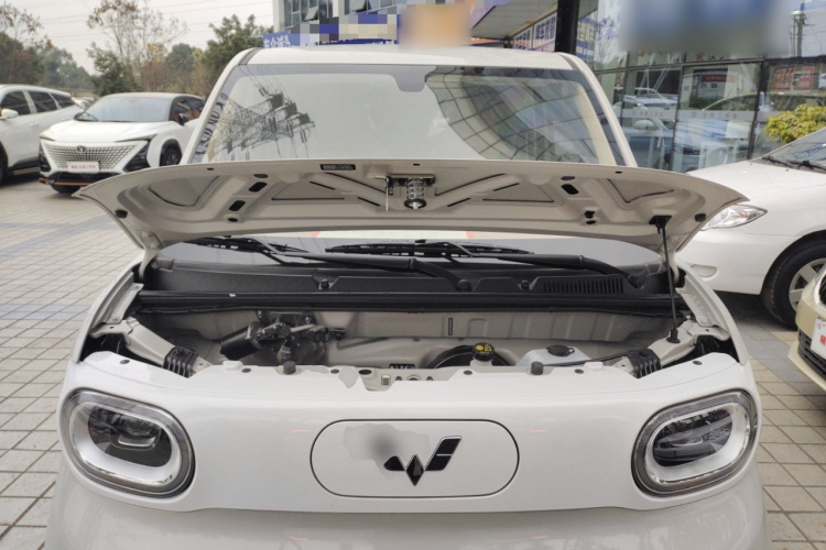 五菱汽车 宏光MINIEV 2024款 第三代 215km 青春版局部细节24