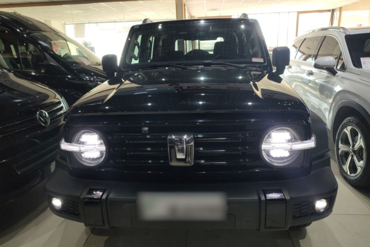 坦克300 2024款 2.0T 挑战者车身外观2