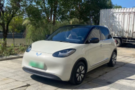 五菱汽车 五菱缤果 2023款 410km 灵犀尊享款