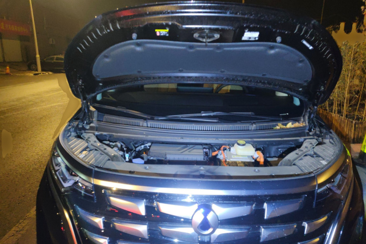 腾势D9 2024款 DM-i 980 四驱尊荣型局部细节24