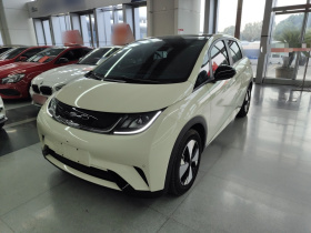 比亚迪 海豚 2023款 420km 时尚版