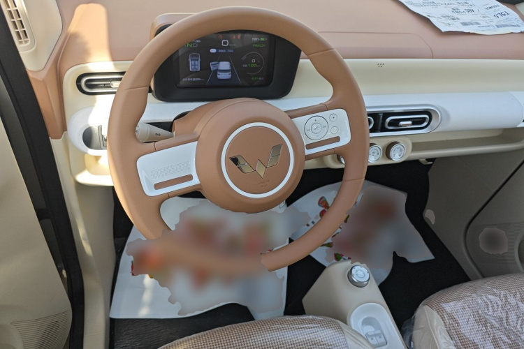 五菱汽车 宏光MINIEV 2024款 第三代 215km 青春版局部细节13