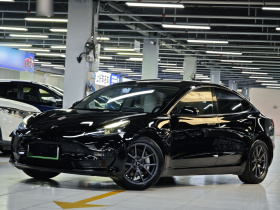 特斯拉 Model 3 2022款 后轮驱动版